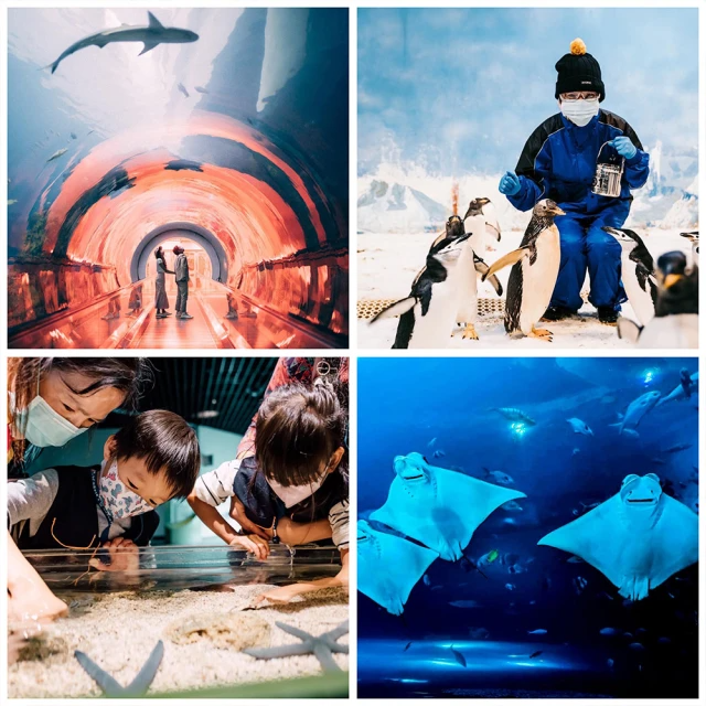 【商品卷】屏東海洋生物館 海生館 單人全票券一張