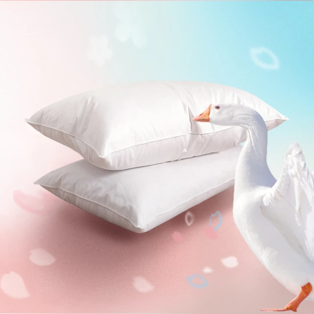 Embrace 英柏絲 買一送一 五星級飯店指定御用