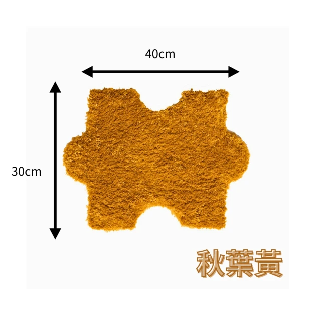 圖地毯 30*40cm (2片入)