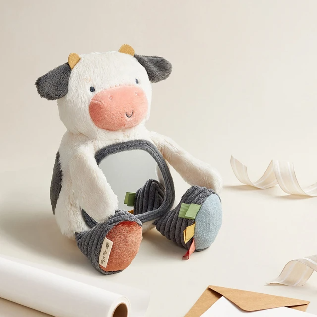 Itzy Ritzy 美國 寶寶感統安全鏡