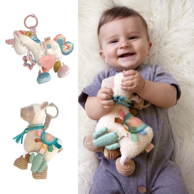 Itzy Ritzy 咬咬感統玩偶