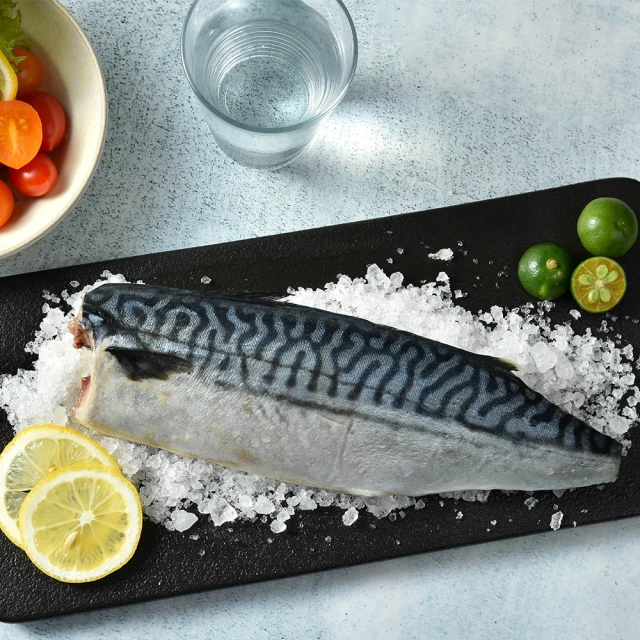 嚴選超大極厚挪威薄鹽鯖魚片(無紙板淨重180g/片)
