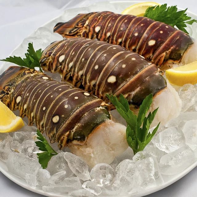 優質4盎司龍蝦尾2包組(225g±20%/包;2入/包)