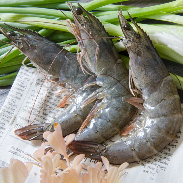 特大生凍白蝦后 3盒(600g±10%/盒 約14±2尾/盒-凍)