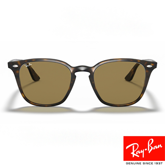 RayBan雷朋 太陽眼鏡 RB4258F 71073 -52mm 膠框
