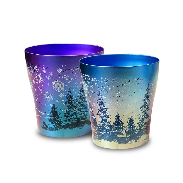 AnnZen 《日本製 Horie》鈦愛生活系列-日本製純鈦抗菌雙層杯 雪花雙杯組 250ml