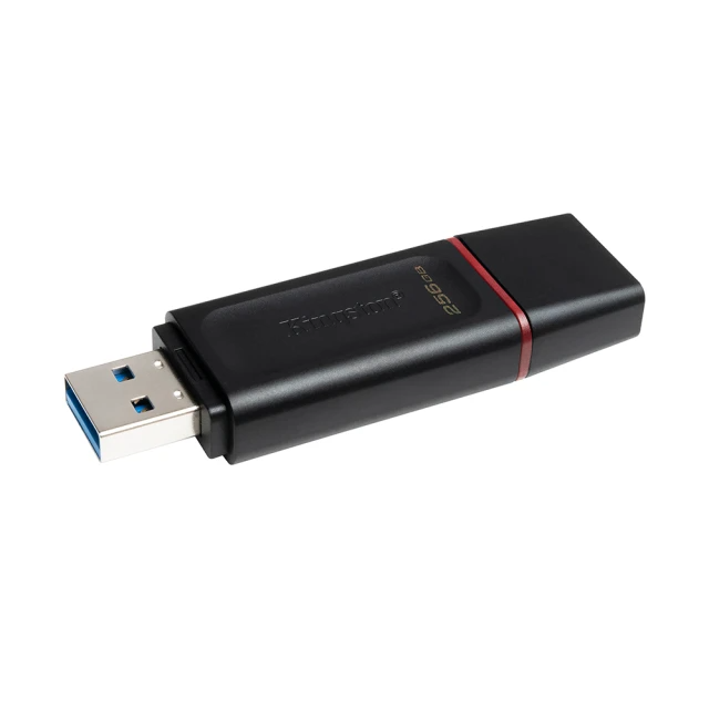 Kingston 金士頓  USB 3.2 Gen1  隨身碟(DTX/256GB)
