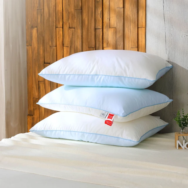 德國涼感水洗枕 1入