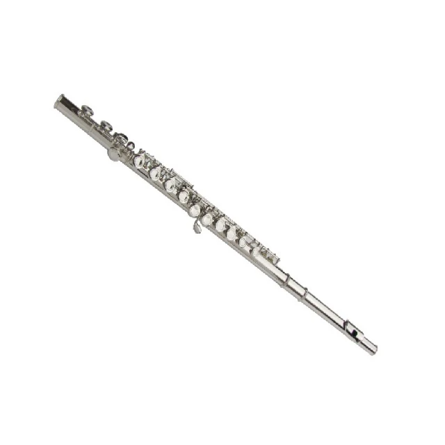 Sebrew-入門長笛 FL-211 曲列16閉孔E鍵 C調(贈手提硬盒 DVD教學 專用手套 全配)