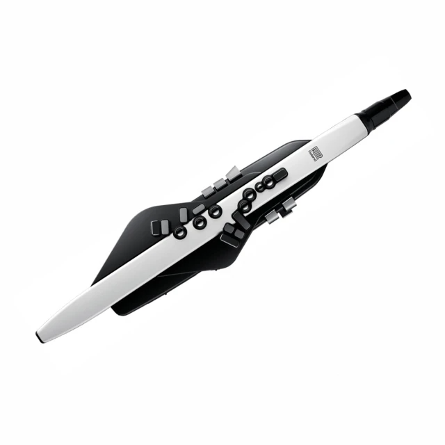 ROLAND-AE-20 數位吹管 黑/白款