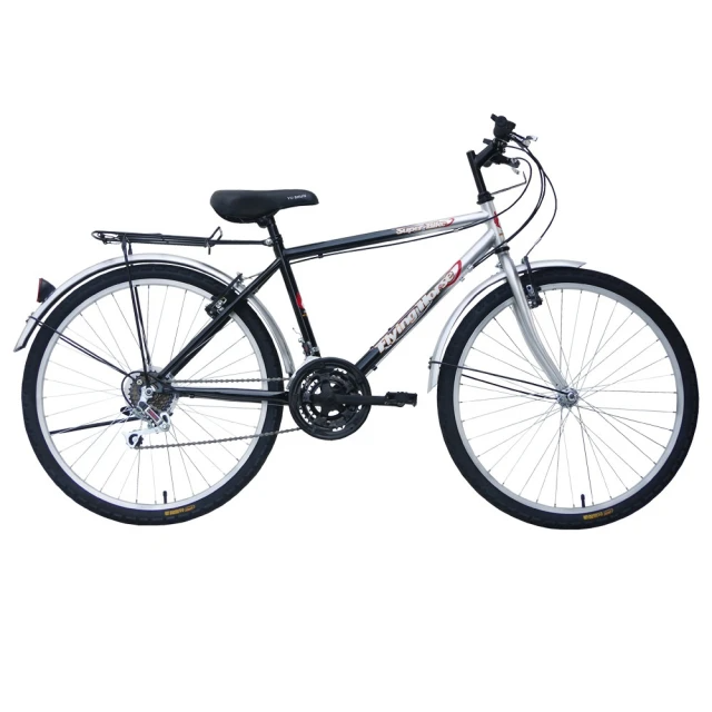 飛馬-26吋18段變速登山男車(526-32-1 銀黑)