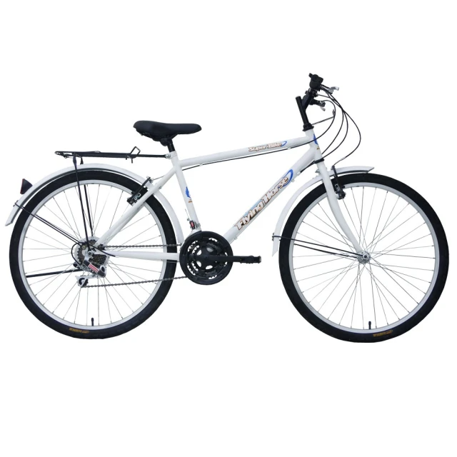 飛馬-26吋18段變速登山男車(526-32-3 白)