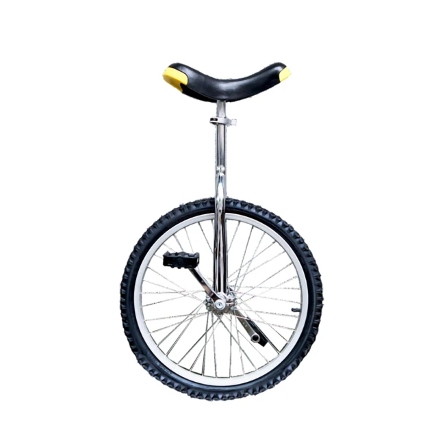 毅力家-20吋單輪車(銀色)