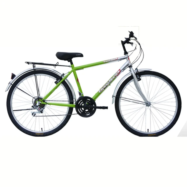 飛馬-26吋18段變速登山男車(526-32-2 銀綠)