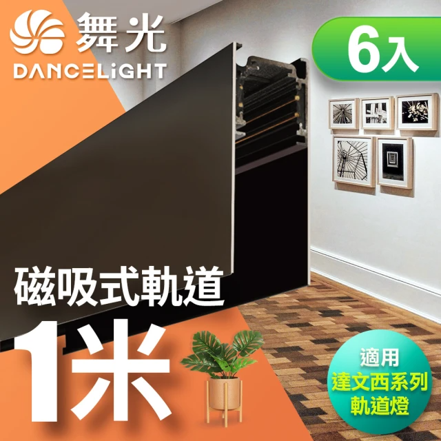 DanceLight 舞光-磁吸軌道1米(6入)