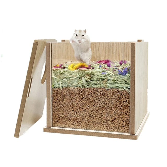 小寵秘境挖掘躲藏盒