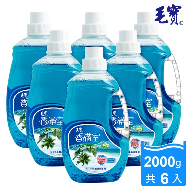 毛寶 香滿室地板清潔劑-海洋微風(2000g x6入/箱)