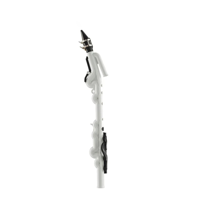 Yamaha YVS-100 管樂器