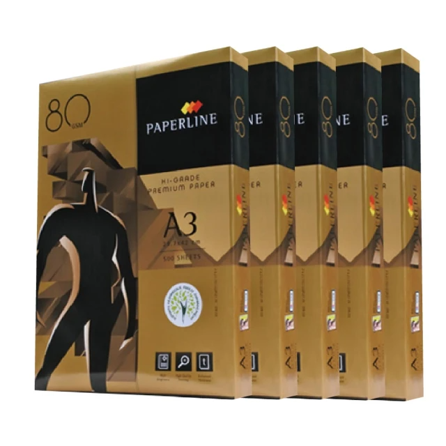 PAPERLINE 金牌 A3多功能影印紙-80磅（5包/箱）