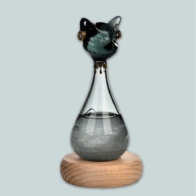 埃及貓風暴天氣預報瓶