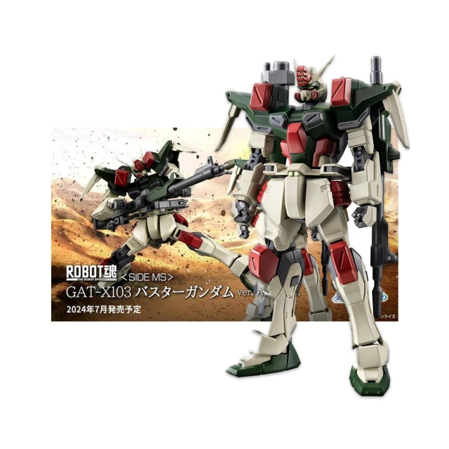 BANDAI 萬代 ROBOT魂 鋼彈SEED GAT-X103 暴風鋼彈 動畫版 可動完成品