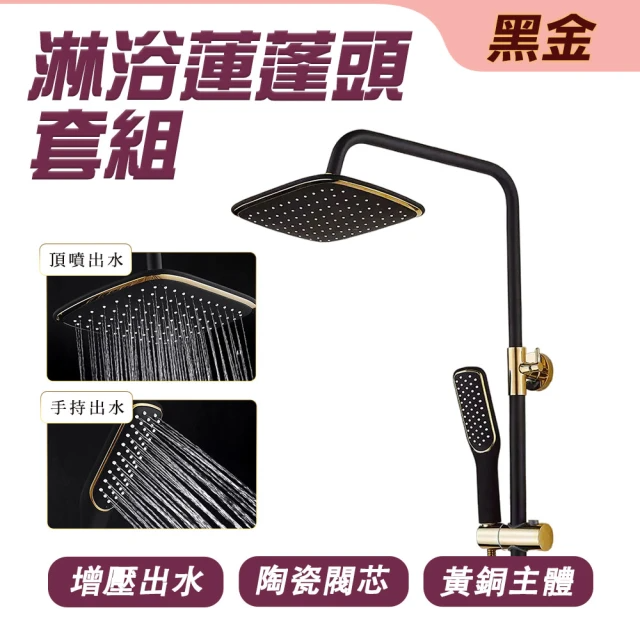 黑金蓮蓬頭 四合一花灑 沐浴花灑組 (黑金)