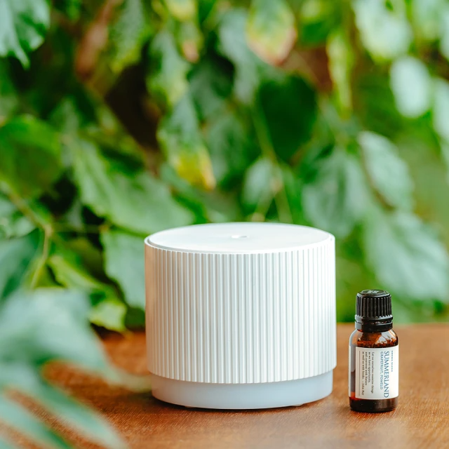 伊聖詩 約翰森林JOHNRAY 雨林香氛機