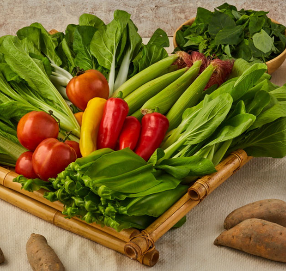 生鮮/蔬果/冷凍食品