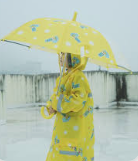 雨傘/雨衣